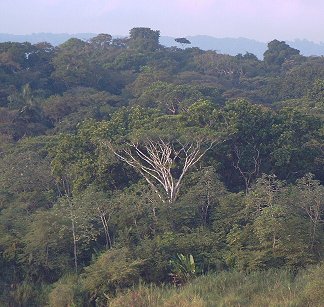 Panama Canal