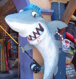 Cozumel shark