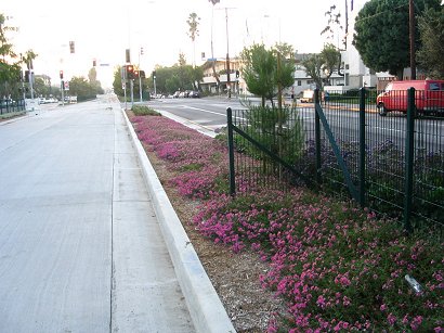 North Hollywood bus route